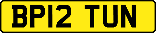 BP12TUN
