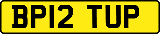 BP12TUP