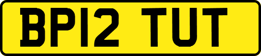 BP12TUT