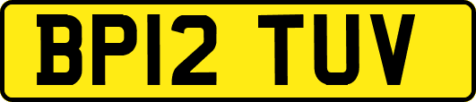 BP12TUV