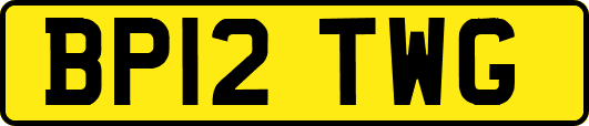 BP12TWG
