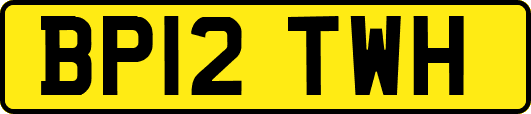 BP12TWH