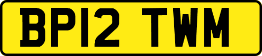 BP12TWM