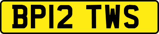 BP12TWS