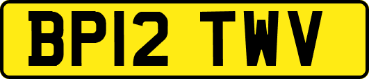 BP12TWV