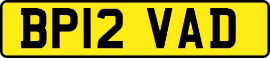 BP12VAD