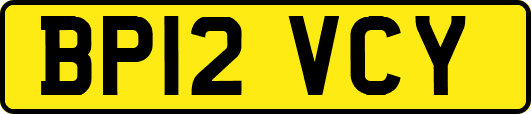 BP12VCY