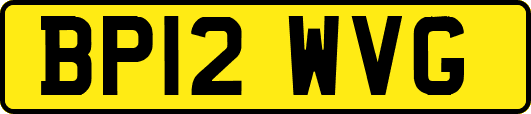 BP12WVG
