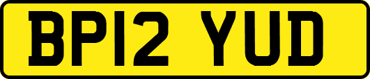 BP12YUD