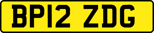 BP12ZDG
