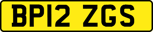 BP12ZGS