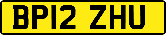 BP12ZHU