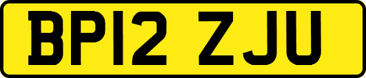 BP12ZJU