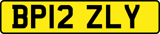 BP12ZLY