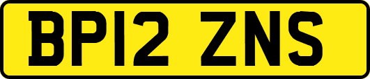 BP12ZNS