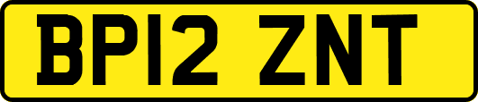 BP12ZNT