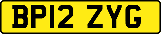 BP12ZYG