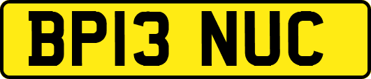 BP13NUC