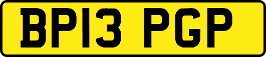 BP13PGP