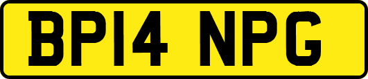BP14NPG