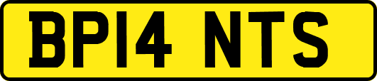 BP14NTS