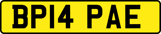 BP14PAE