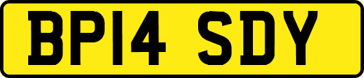 BP14SDY