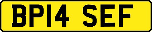 BP14SEF