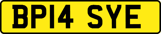 BP14SYE