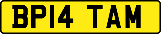 BP14TAM