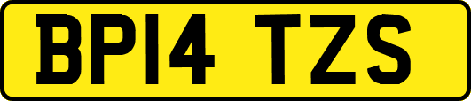 BP14TZS