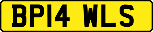 BP14WLS