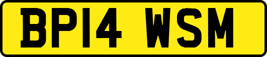 BP14WSM