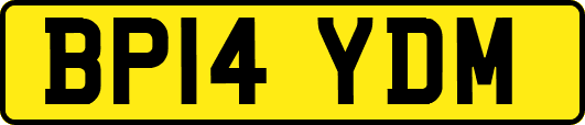 BP14YDM