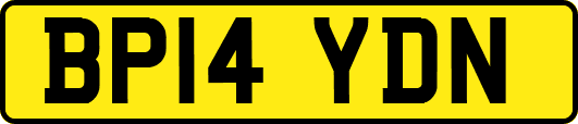 BP14YDN
