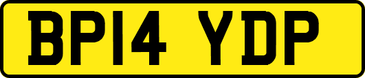 BP14YDP