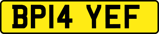 BP14YEF