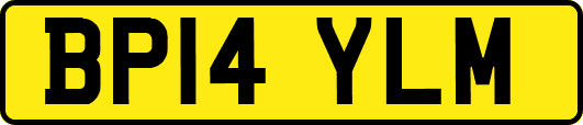 BP14YLM