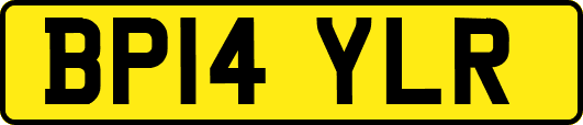 BP14YLR