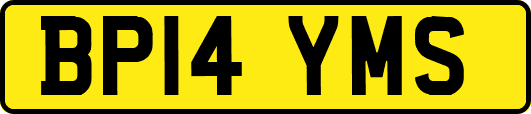 BP14YMS