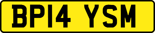 BP14YSM