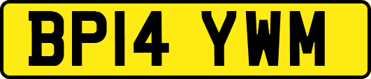 BP14YWM
