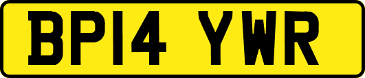BP14YWR