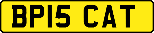 BP15CAT