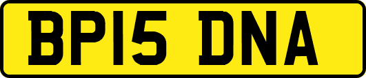 BP15DNA