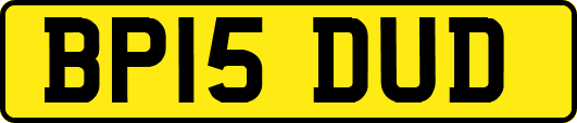 BP15DUD