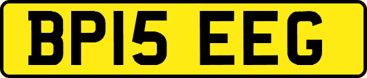 BP15EEG