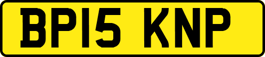 BP15KNP
