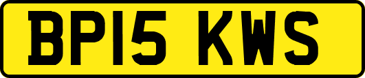 BP15KWS