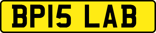 BP15LAB